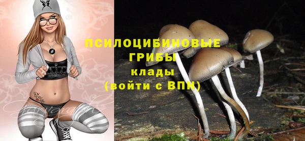 первитин Лабытнанги